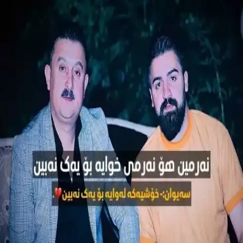 نه‌رمین هو نه‌رمین